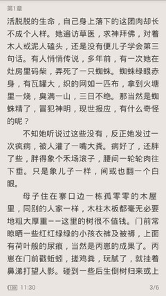 菲律宾,洗黑,出入境,影响,办理业务